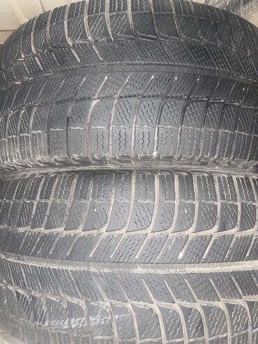 10 r20: Шины 245 / 40 / R 18, Зима, Новый, Пара, Легковые, Германия, Michelin