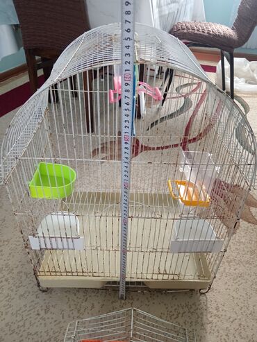 Qəfəslər: Quş qəfəsləri dəsti - 2 ədəd metal qəfəs: biri böyük, biri kiçik — 4