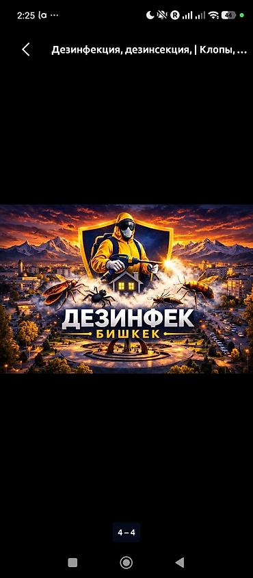 Клининговые услуги: Дезинфекция, дезинсекция, | Клопы, | Квартиры — 3