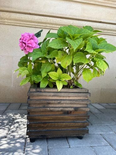 Bitkilər üçün dibçəklər: Dibceklər hər ölcüdə hər zövgə #dibceklər kafe ofis hryitcin zamanətlə — 12