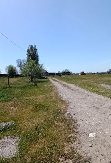 Продажа участков: 150 соток, Для сельского хозяйства, Красная книга