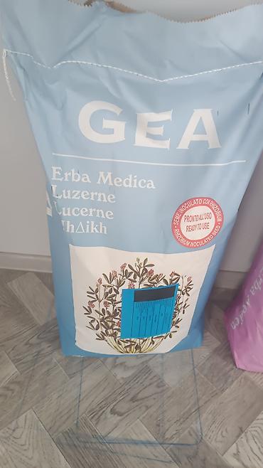 Люцерна: Люцерна ( Беде ) оптом и розница — 3