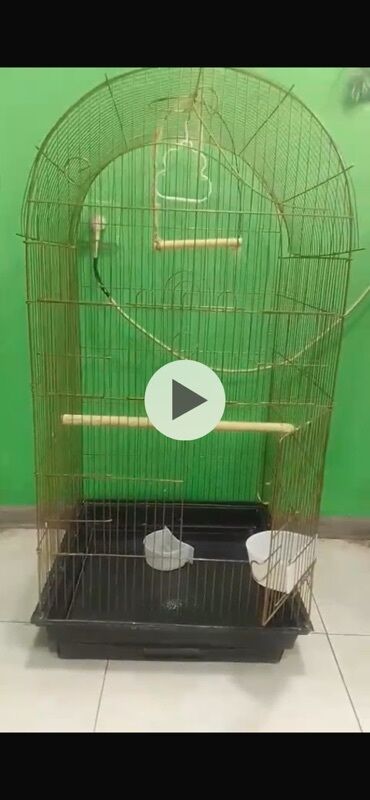 it ucun ev: Böyük ölçülü quş qəfəsi - Metal çərçivə, yarımdairəvi üst hissə -