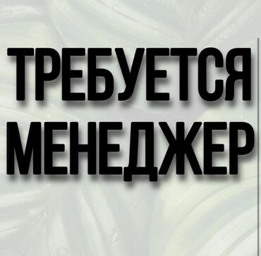 ищу работу строителя: Требуется менеджер по продажам в СЭЗ «Бишкек» Ак-Чий, зарплата от 500$