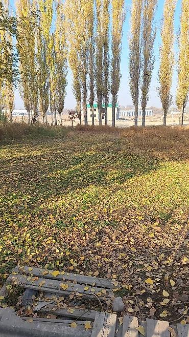 добрыня дача: 15 соток, Для строительства, Красная книга — 10