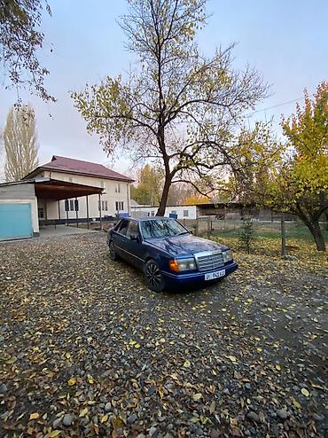 mersedes e class: Mercedes-Benz W124: 1989 г., 2.3 л, Механика, Бензин, Седан — 2