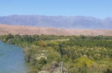 Продажа домов: Дом, 140 м², 7 комнат, Собственник, Евроремонт — 13