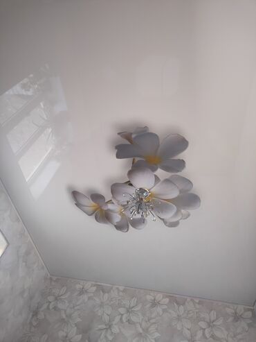 Натяжной потолок: Натяжной потолок 3D потолки, Глянцевое, Матовое Бесплатная консультация, Бесплатный замер, Гарантия — 8