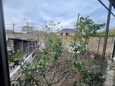 sufle sumqayit 13 mkr: Сумгайыт, 160 м², 4 комнаты, Без бассейна, Интернет, Телефон, Газ