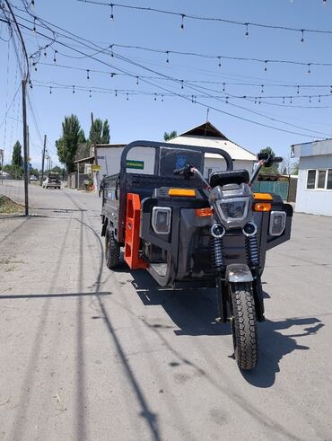 Другая мототехника: Мотороллер муравей мотороллер муравей ! Трицикл, электро мотоцикл — 6