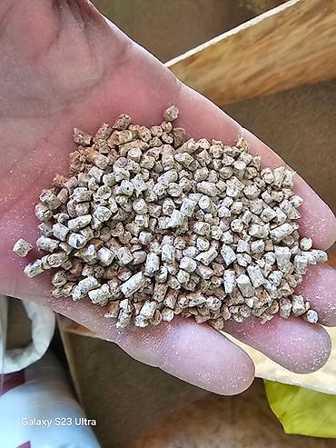 Эспарцет: Эспарцет [тюп район ],кара беде урону [кара балтаныкы — 11