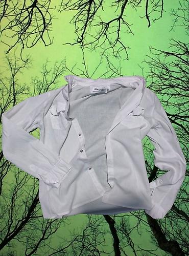 Рубашки: Мужская рубашка, S, M, Lacoste, Новый, цвет - Белый — 3