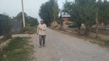 Грузовики: Грузовик, Камаз, Стандарт, Б/у at lalafo.kg — 12 Грузовики: Грузовик, Камаз, Стандарт, Б/у — 12