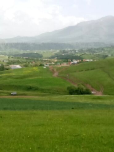 Torpaq sahələrinin satışı: 106 sot, Kənd təsərrüfatı, Mülkiyyətçi, Kupça (Çıxarış)