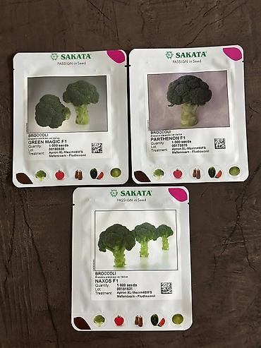 Другие овощные культуры: Семена овощных культур SAKATA (профессиональная серия, фасовка по 1000 — 8