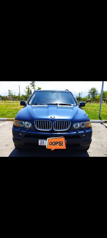 BMW: BMW X5: 2006 г., 4.4 л, Типтроник, Бензин, Кроссовер