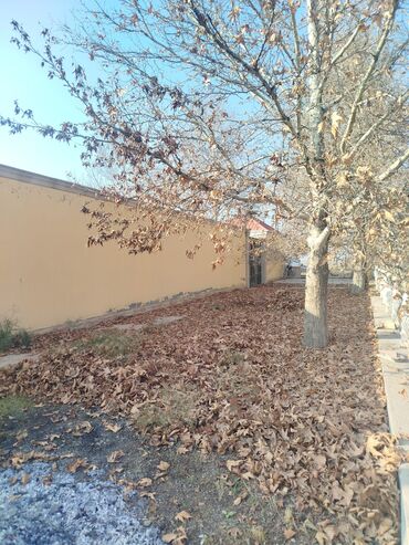 Torpaq sahələrinin satışı: Kənd təsərrüfatı, Kupça (Çıxarış) — 9