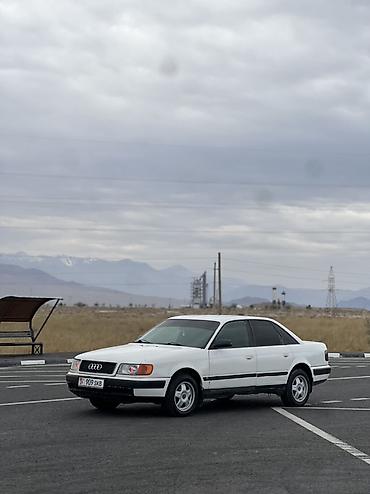 глушитель выхлоп: Audi 100: 1991 г., 2 л, Механика, Бензин, Седан — 2