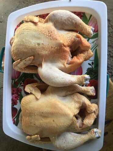 курица мяса: Продаём бройлерных куриц домашние (Халал) 1 кг Вес от 1900 до 2500