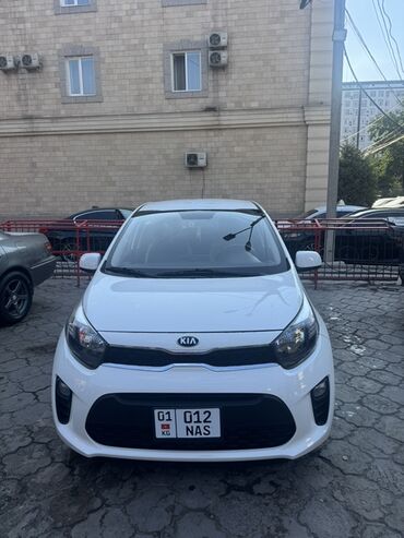 авто в рассрочку без банка без первоначального взноса в бишкеке: Kia Morning: 2019 г., 1 л, Автомат, Бензин, Хетчбек