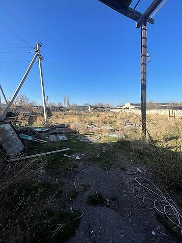 Продажа коттеджей и домов: 3 комнаты, 50 м², 35 соток, Бишкек, Собственник at lalafo.kg — 9 Продажа коттеджей и домов: 3 комнаты, 50 м², 35 соток, Бишкек, Собственник — 9
