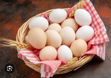 yumurta satışı: Salam Ataks və lider 55 toyuqlarının tam mayalı yumurtası