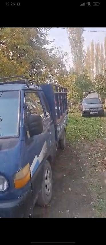 цена фудтрака: Легкий грузовик, Hyundai, Стандарт, Б/у — 7