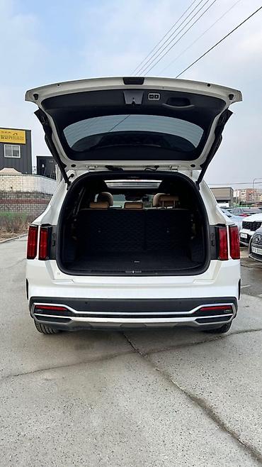 Kia: Kia Sorento: 2020 г., 1.6 л, Автомат, Гибрид, Кроссовер — 23