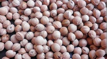 номер телефона доставки газа бишкек: Отун Өзү алып кетүү