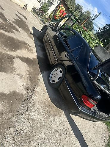 мерседес зайчик 210: Mercedes-Benz : 2001 г. — 10