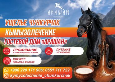 конный спорт бишкек цены: Гостевой Дом «Арашан» предлагает гостям отдых в горах⛰️ Здесь можно