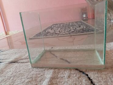 akvar: Dördbucaq akvarium, Boş, 13 l, Ödənişli çatdırılma