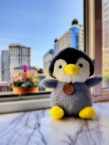 Oyuncaqlar: Oyuncaqlar — 4