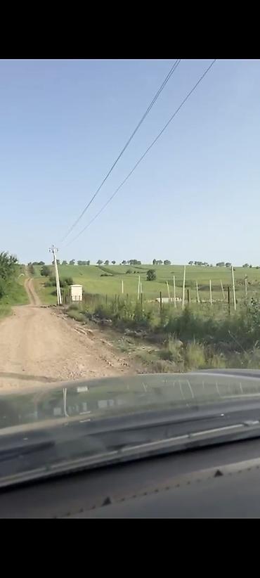 konteyner satışları: 132 sot, Kənd təsərrüfatı, Kupça (Çıxarış) — 4