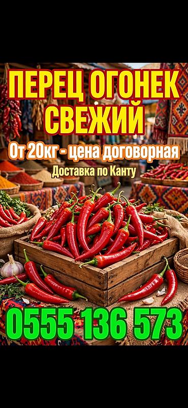 цена свеклы за кг: Перец Горький, Оптом — 1