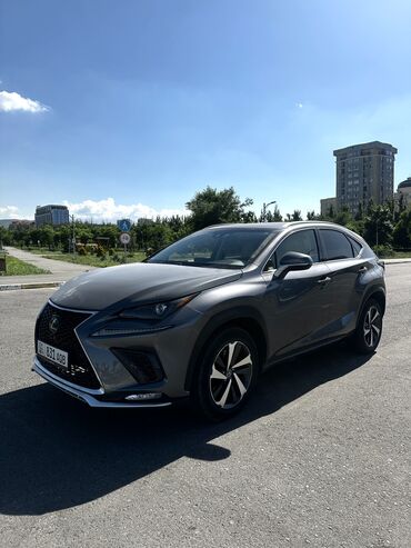 москвич продаю: Lexus NX: 2018 г., 2 л, Автомат, Бензин
