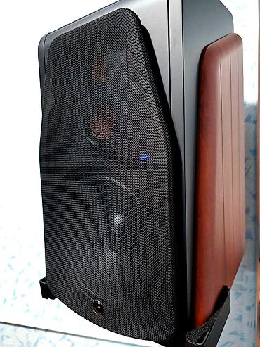 ace pro: Swan M500 - активная Hi-End акустика с восхитительным звуком — 4