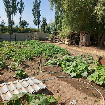 Продажа коттеджей и домов: 🏡Продаётся дом с участком в живописном селе Кара-Ой, на побережье — 18