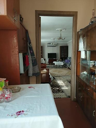kiraye yolu ile satilan evler: Şamaxıda həyət evi kirayə verilir. Tələbələr yox, ailəli şəxslər — 10