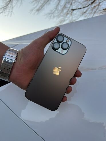 Apple iPhone: IPhone 13 Pro Max, Б/у, Графит, Чехол, 81 % — 1