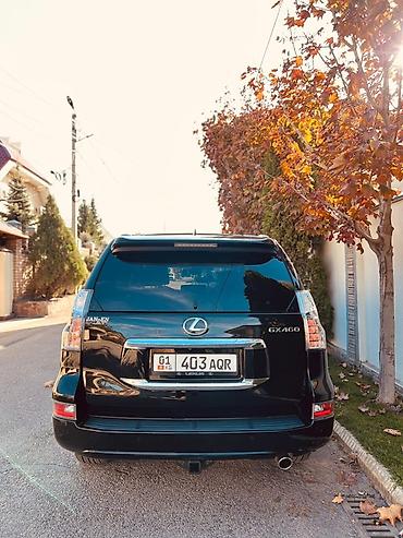 gx46: Lexus GX: 2017 г., 4.6 л, Автомат, Бензин, Внедорожник — 5