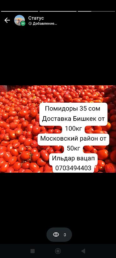 кара балта тай: Помидоры Сливки, Оптом — 1