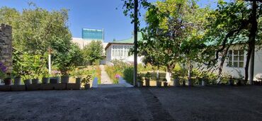 Torpaq sahələrinin satışı: 12 sot, Tikinti, Makler, Kupça (Çıxarış) — 17