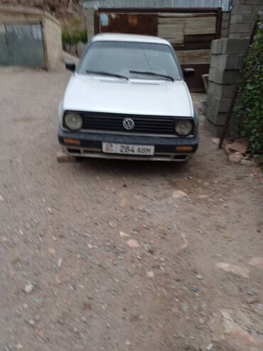 Volkswagen: Volkswagen Golf: 1989 г., 1.8 л, Механика, Бензин, Пикап