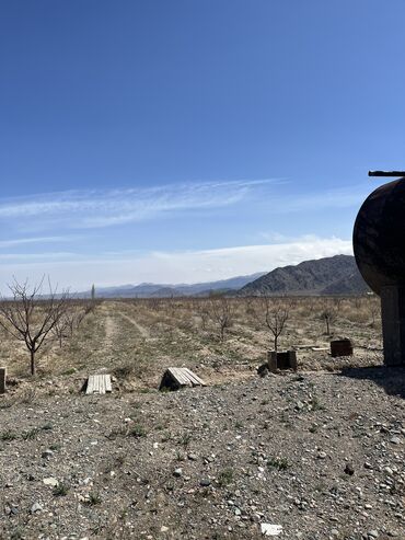 Продажа участков: 600 соток, Для сельского хозяйства, Красная книга, Тех паспорт, Договор купли-продажи — 15