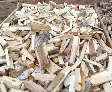 дрова деревья: Дрова