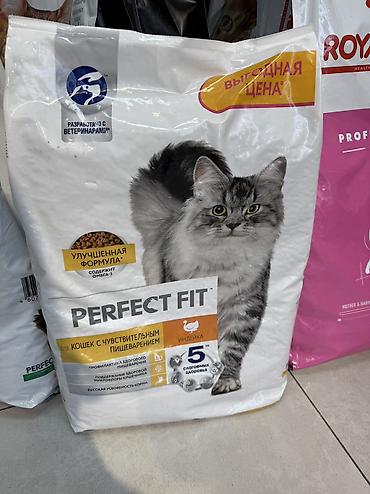 сухой корм для кошек: Perfect Fit — сухой корм для кошек, разработанный с участием — 2
