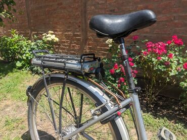 Bicikli za odrasle: Električni bicikl Vital Bike u srebrnoj boji. Ima ram standardne — 11