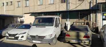хостес бишкек вакансия in Кыргызстан | ХОСТЕС, РЕСЕПШИОНИСТЫ: Mercedes-Benz Sprinter 2.2 л. 2002 | 230000 км