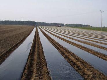 Другие товары для дома и сада: Пленка для мульчирования 30 микрон. Пленка для мульчирования 30 мкм — 12